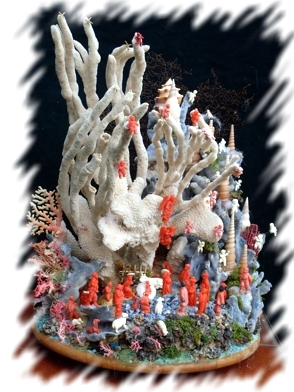 fotopresepe_2